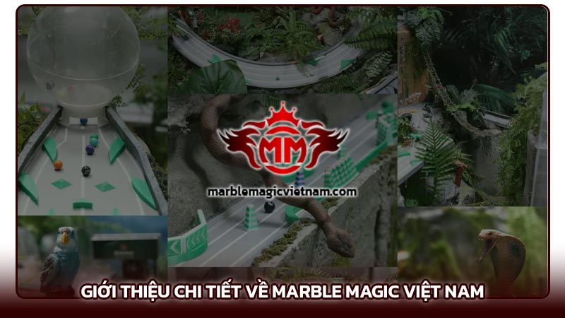 Giới thiệu chi tiết về Marble Magic Việt Nam