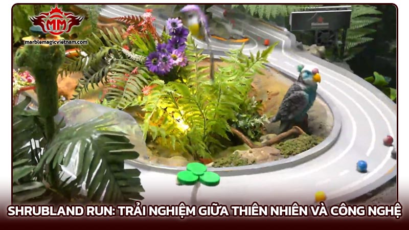 Shrubland Run: Trải nghiệm kỳ diệu giữa thiên nhiên và công nghệ